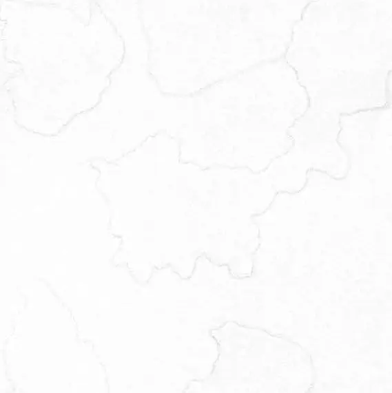 400x400mm | LIGHT PATTERN (RUSTIC)