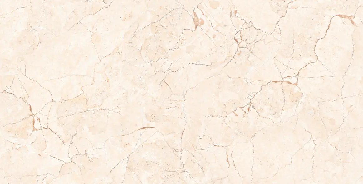 2 feet by 4 feet tiles