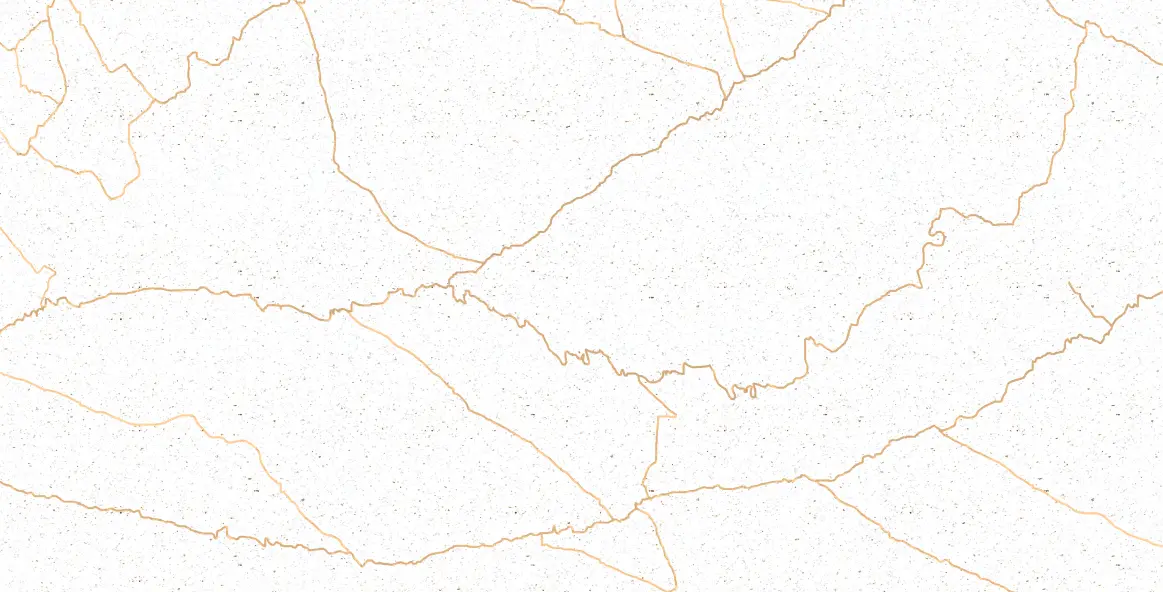 calacatta gold porcelain tile 24x48